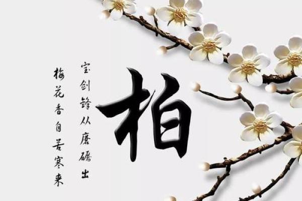 柏姓女孩名字大全-柏姓女孩起名字大全-柏姓名字大全姓名