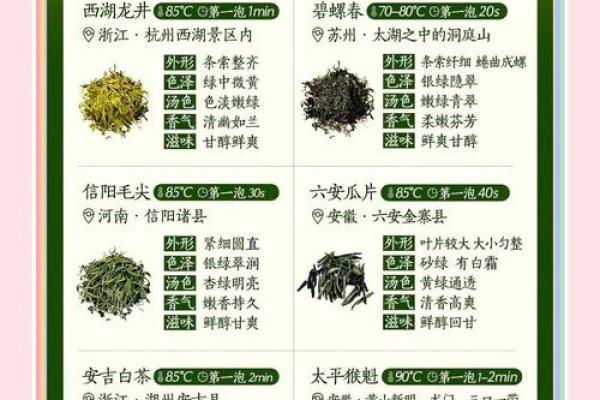 什么样的星座适合当绿茶