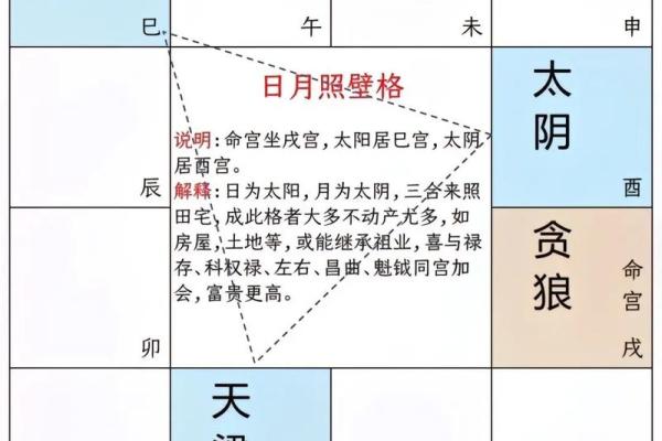 紫薇斗数历史最经典
