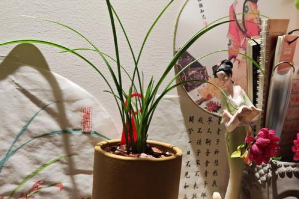 翠兰风水寓意