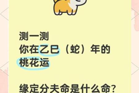 算命的人会离婚吗女
