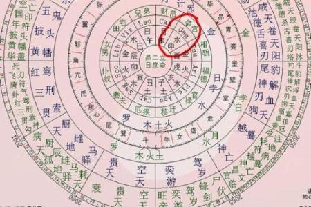 紫微斗数看事业／学业