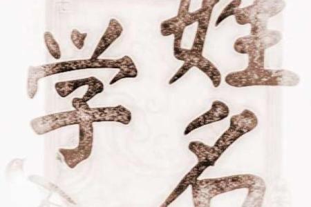 姓茅的名人-姓名学-华易算命网姓名