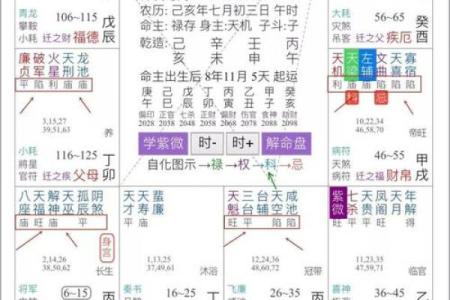 紫微斗数之事业宫与诸星，七杀星在事业宫是什么意思？