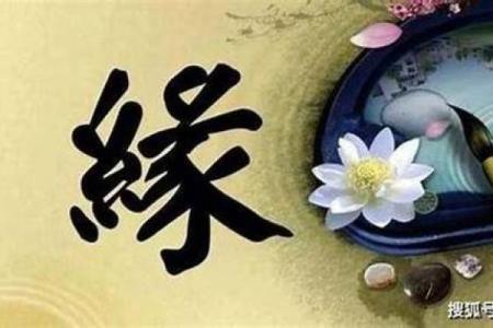 算命的说缘分来了是指遇见吗