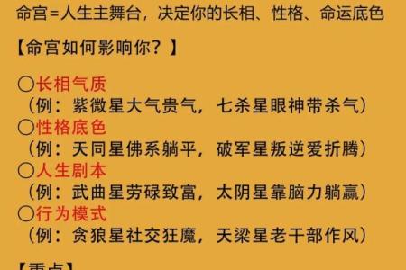 紫薇斗数诀窍深谈