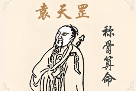 袁天罡八字