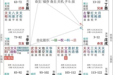 紫薇斗数的命盘怎么看