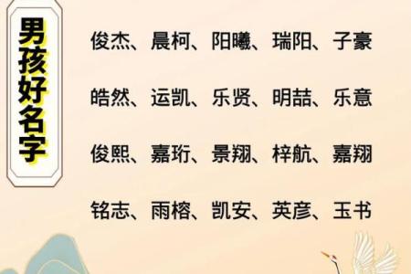 2019年5月13号子时出生的男孩起名时要注意什么姓名