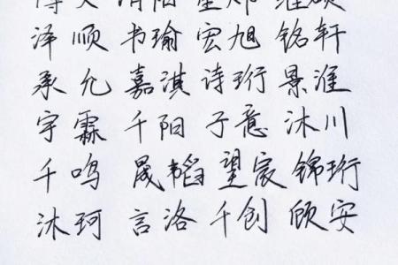 2019年3月21号亥时出生的男孩要怎么起名字姓名