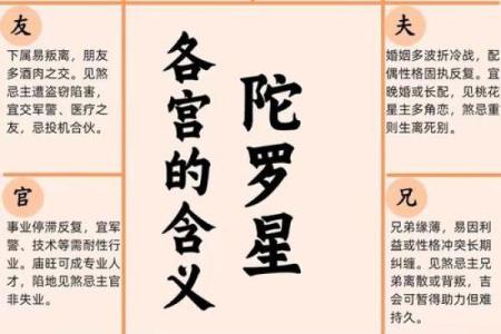 紫薇斗数陀罗在子女