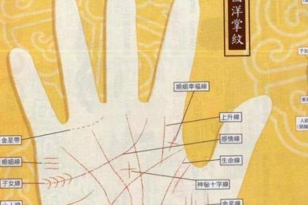 看手相算命图解