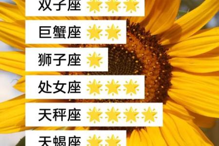 怎么看星座每周运势