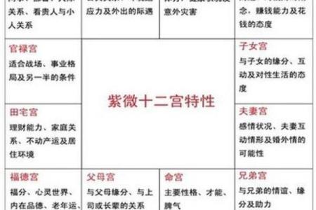 紫微斗数官禄宫详解，能否事业有成全看它
