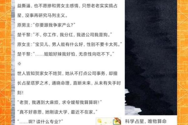 紫薇斗数小说