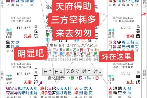 倪海厦紫薇斗数案例10