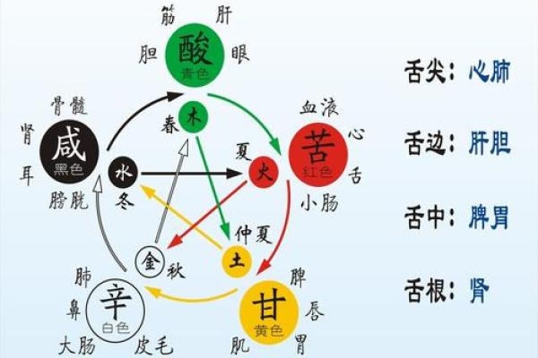 四柱八字同气