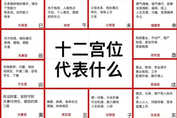 紫薇斗数夫妻宫凤阁