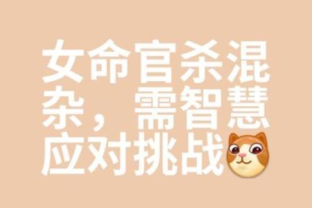 算命中指的官是什么