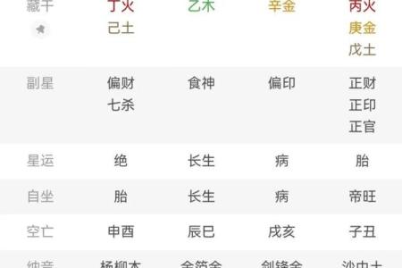 八字命理：癸巳日出生人的命运