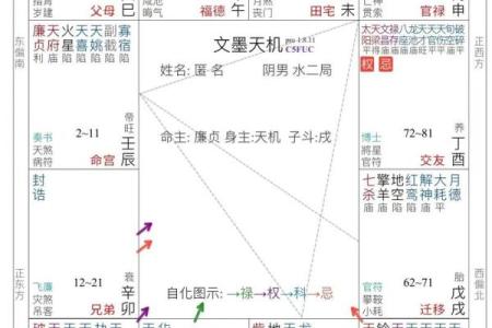 紫微斗数之六条主线