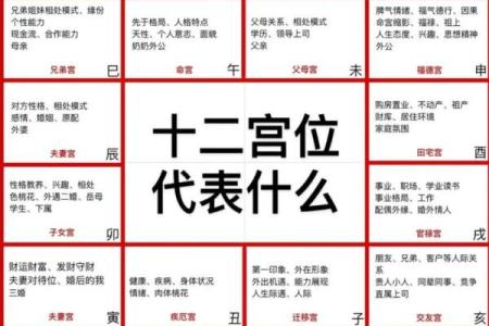 紫薇斗数夫妻宫凤阁