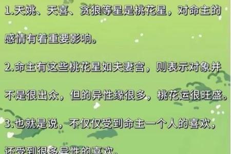 紫微斗数里紫薇是什么意思