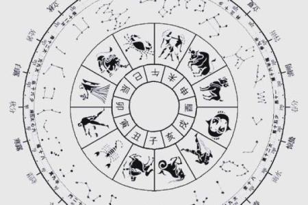 二十八星宿哪个星座最强大