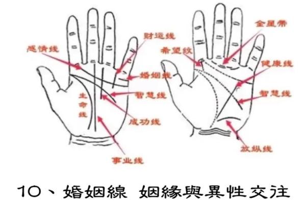 图解：手相纵欲线算命