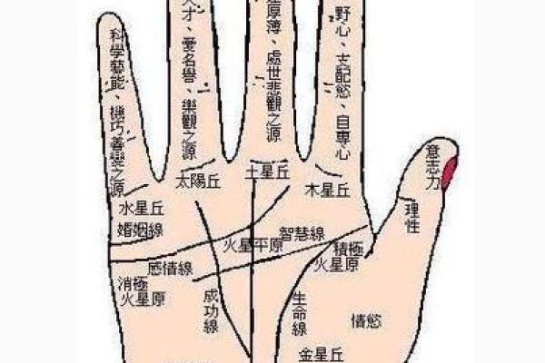 图解：手相纵欲线算命