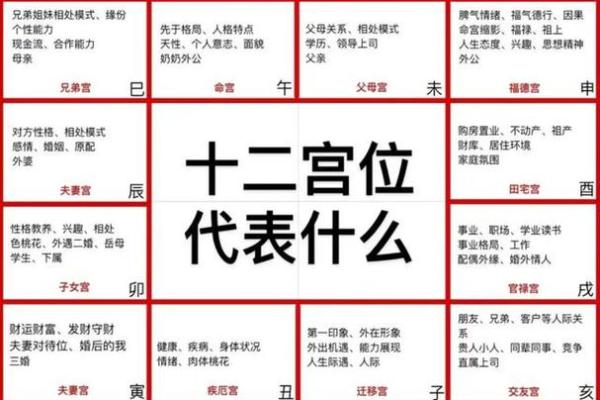 紫薇斗数四化
