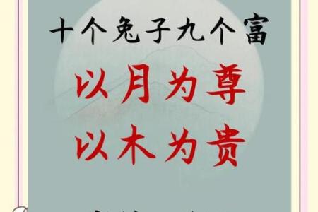 早上6点出生的属兔男孩如何取名姓名