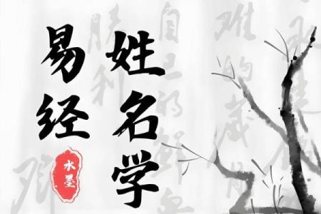 姓名与八字