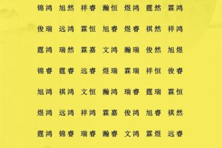 2月份出生的属鸡男孩起什么名字好姓名