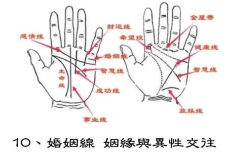 图解：手相纵欲线算命
