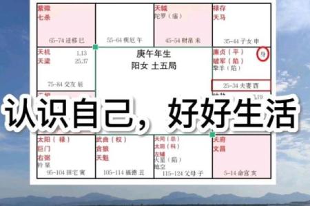 豆瓣紫薇斗数身宫七杀