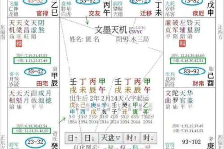 紫薇斗数大运地空