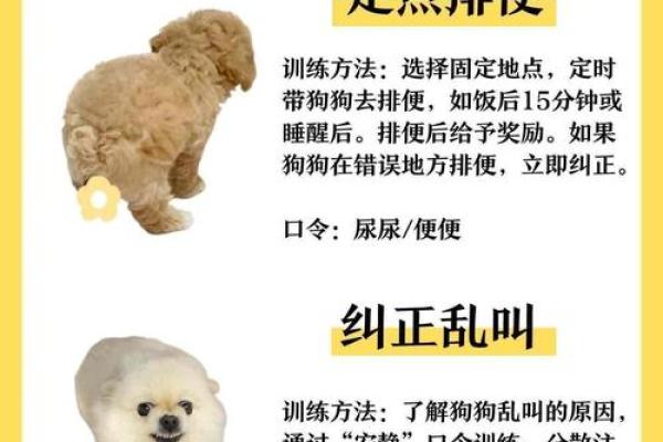 养狗生辰八字