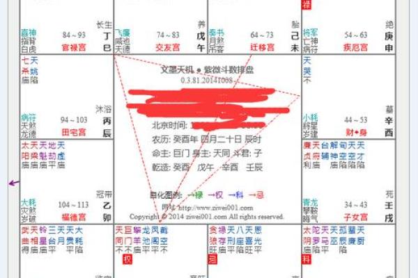 皮肤白紫薇斗数