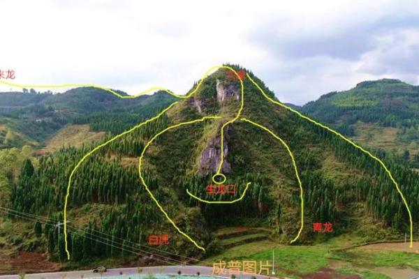 祖坟风水好坏怎么看