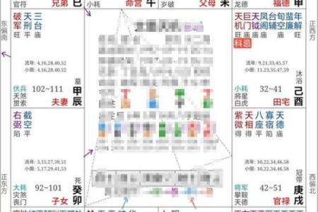 紫微斗数之紫微星坐命宫，是什么意思？
