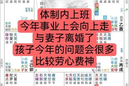 紫薇斗数看人生txt的简单介绍