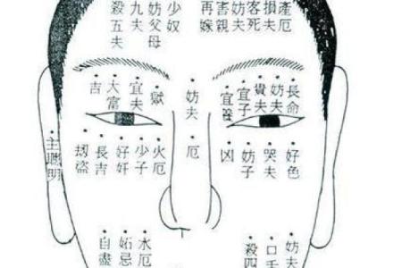 相术算命师分析：命苦且劳累的体相！