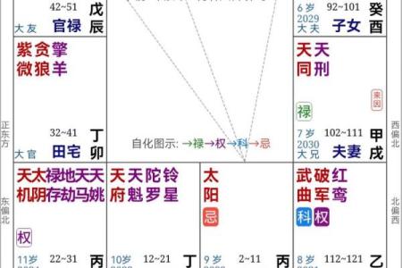 紫薇斗数爱情占卜
