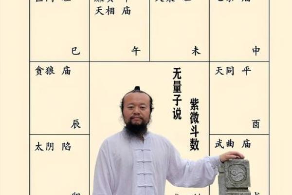 紫薇斗数易学难精