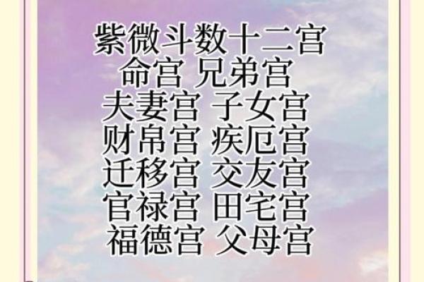 紫薇斗数太阳入命宫