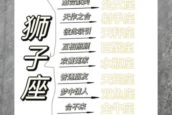 狮子座和什么星座比较合得来 狮子座不合的星座