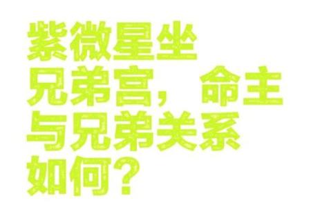 紫微斗数之兄弟宫与诸星,贪狼星在兄弟宫是什么意思？