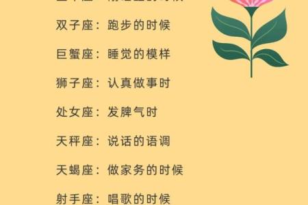 哪个星座拥有最好的女人缘
