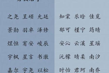 什么字给晚上9点出生的属鸡男孩取名字合适姓名
